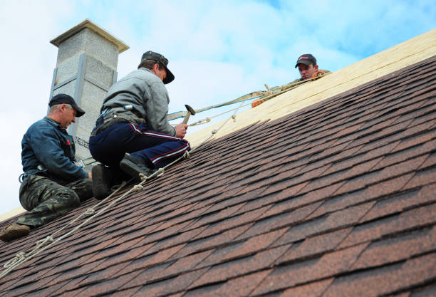 Quick and Trustworthy Emergency Roof Repair Services in Melrose Park, IL
